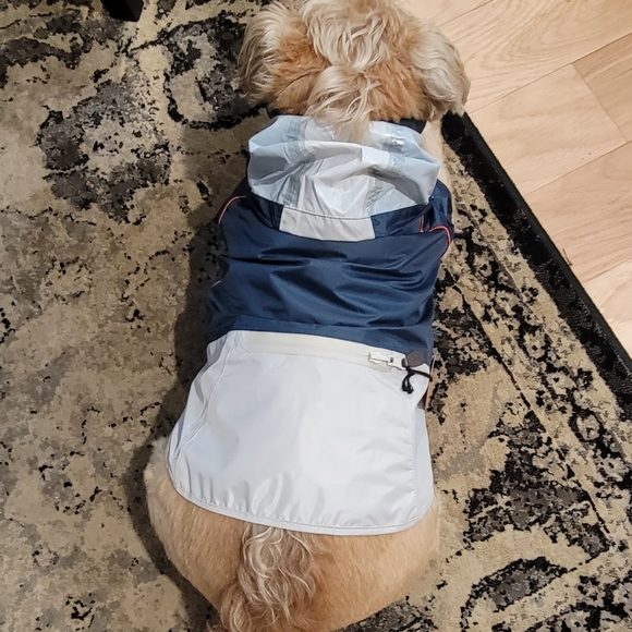 ❤️ Host Pick ❤️ Lightweight Dog Hooded Rain Jacket M - Picture 9 of 16